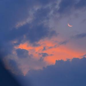 激情日下部加奈AV无码
